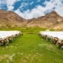 Fincas para bodas en el norte de Tenerife · qué mirar antes de reservar